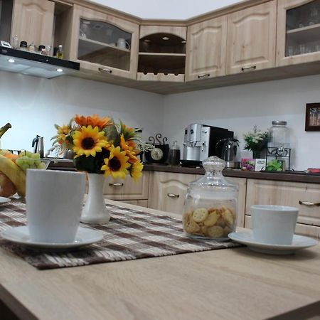 Ella Apartment Timisoara No9 Exterior photo